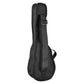 Boston Concert Ukulele Cover Back View