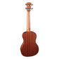 Korala Performer Series Sapele Wood Concert Ukulele Back View