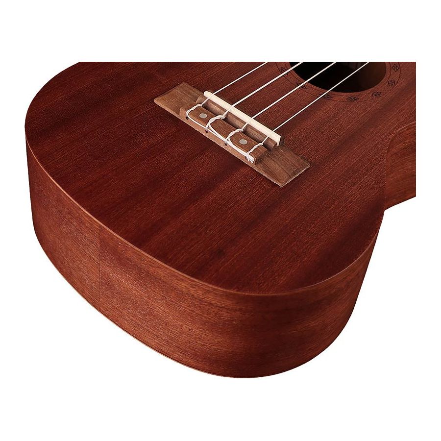 Korala Performer Series Sapele Wood Concert Ukulele Body