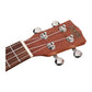 Korala Performer Series Sapele Wood Concert Ukulele Head