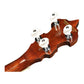 Richwood Heritage Series Open Back 5-String Folk Banjo Machine Head