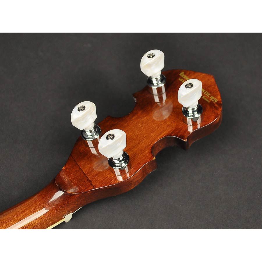 Richwood Heritage Series Tenor Banjo 4-String Machine head